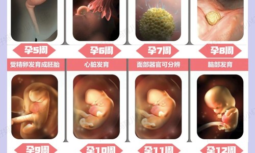梭鱼能煎着吃吗-梭鱼干煎吃怎么做好吃法大全专区_梭鱼做法有几种专区_梭鱼干煎吃怎么做好吃法网